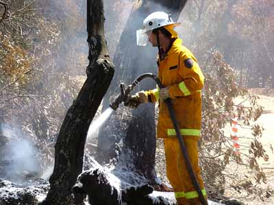 west coast fires black tuesday 116