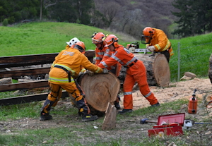 Emergency Services working together