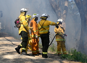 Emergency Services working together